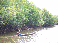 Blick vom Speedboot ein Fischer auf der Fahrt zu Phi Phi