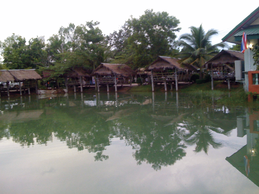 Blick auf den See im Fisch Restaurant Urlaub Udon Thani